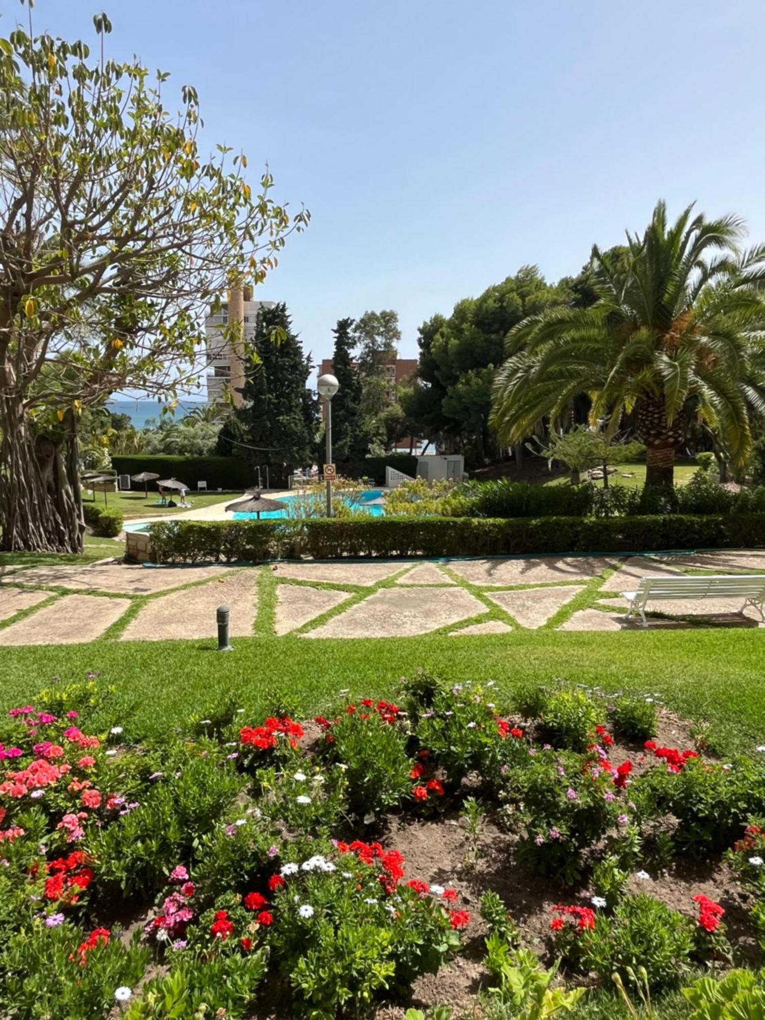 Parque La Chicharra Near Alicante And Beach Luaran gambar