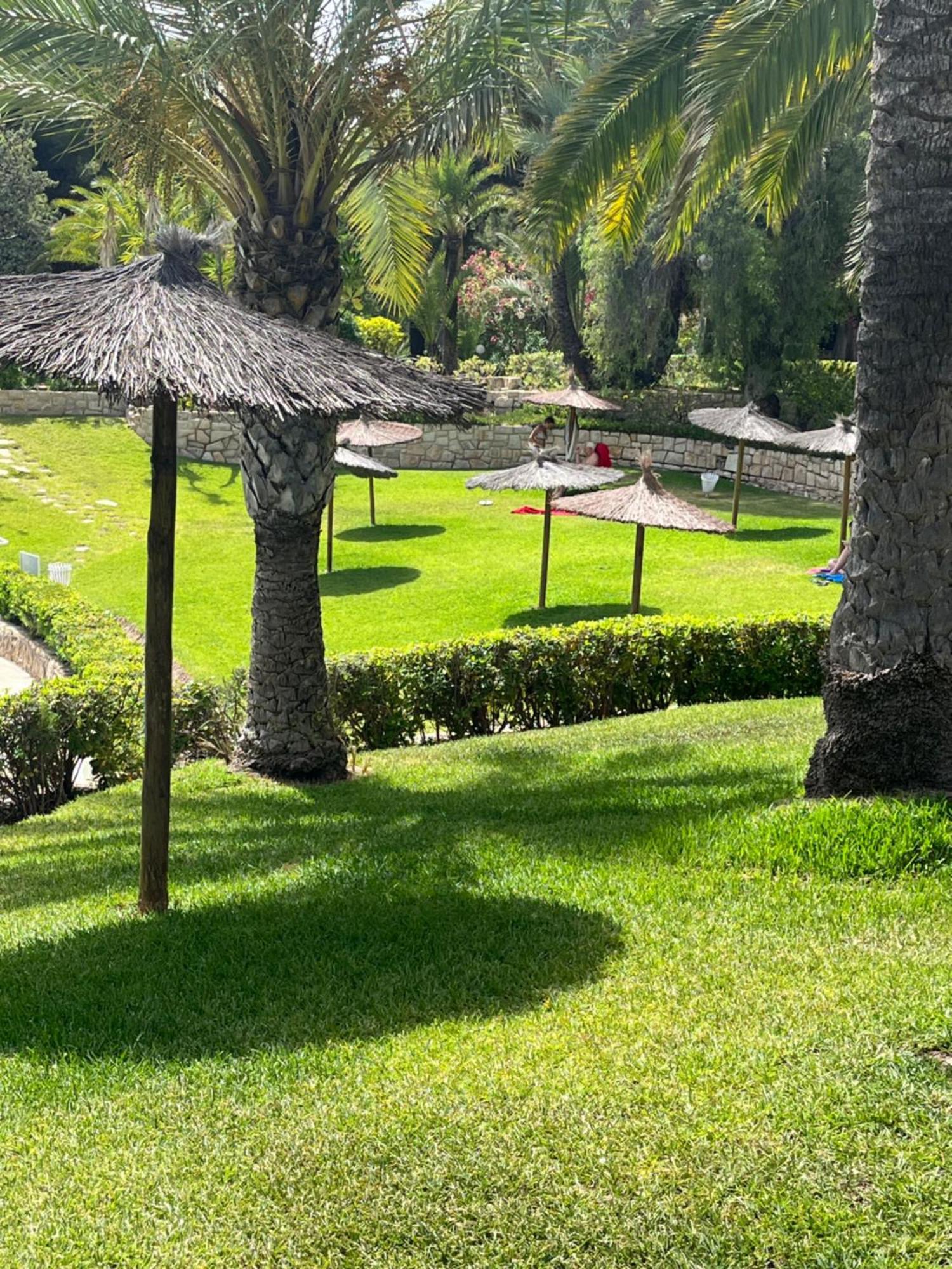 Parque La Chicharra Near Alicante And Beach Luaran gambar