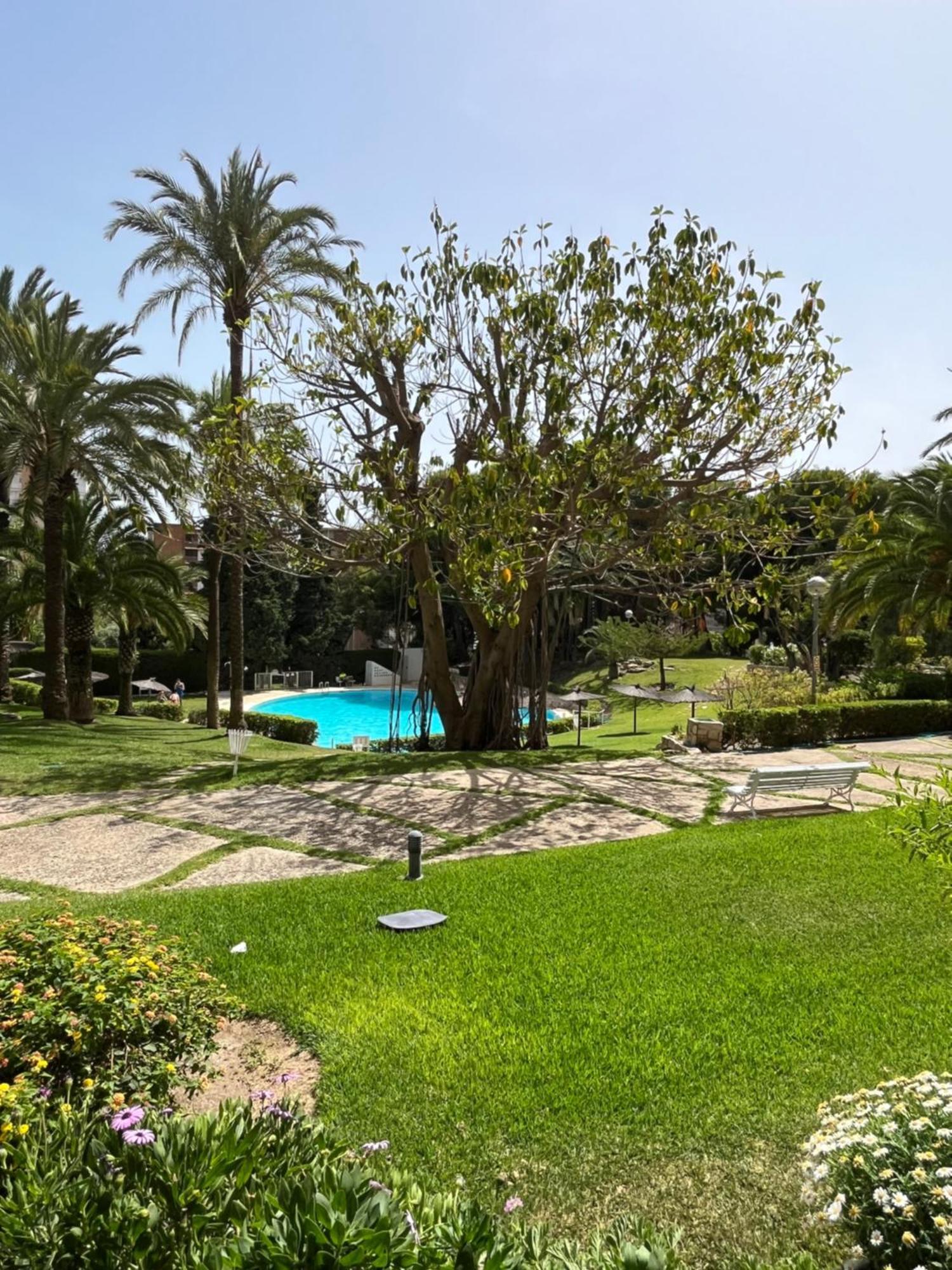 Parque La Chicharra Near Alicante And Beach Luaran gambar